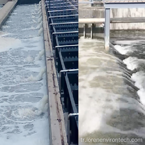 Loren PTA2O biyolojik tedavi teknolojisi